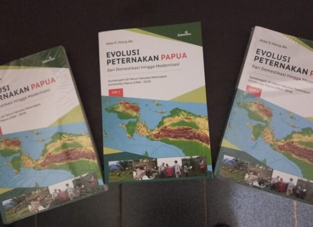 WhatsApp Image 2024-11-14 at 11.49.03