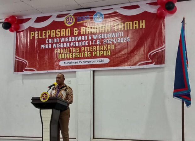 WhatsApp Image 2024-11-15 at 15.09.37