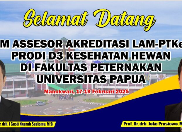 WhatsApp Image 2025-02-14 at 12.26.54